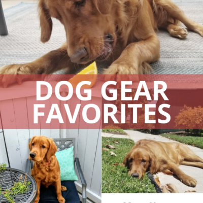 My Dog Must Haves for walking or running with your pup