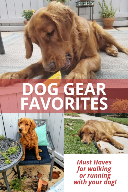 running with your dog gear