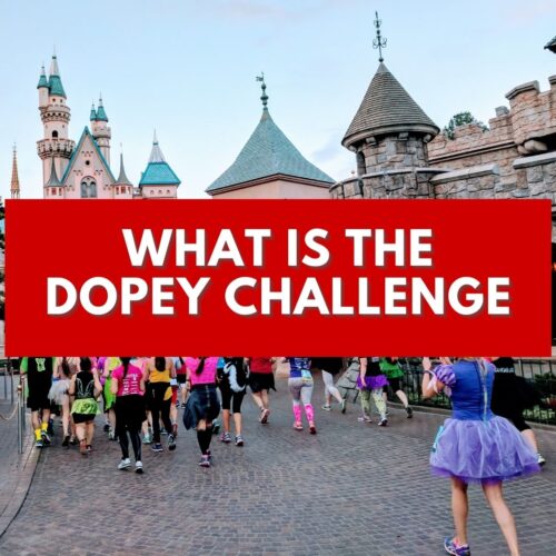 Running the Dopey Challenge 2022 (Disney World Run Series) - Run Eat Repeat