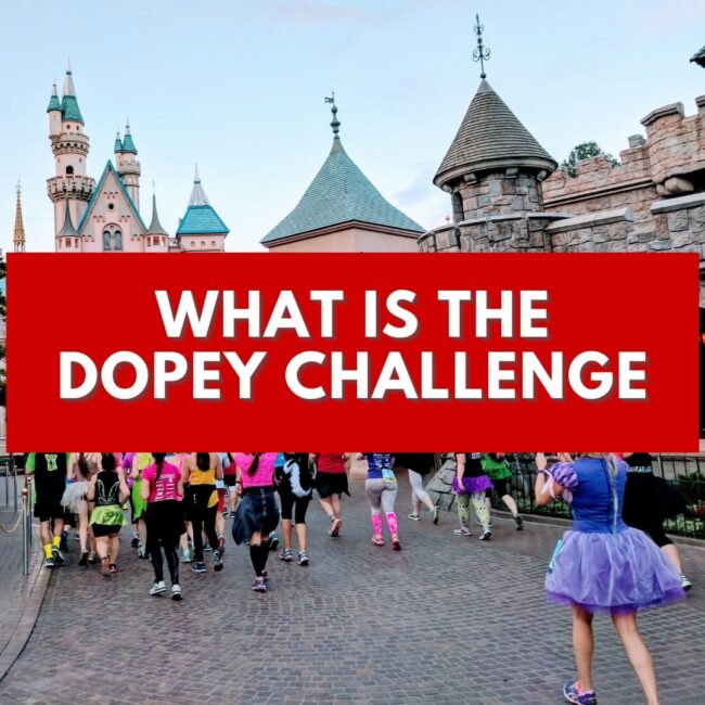 download disney run 2023 download disney run 2023