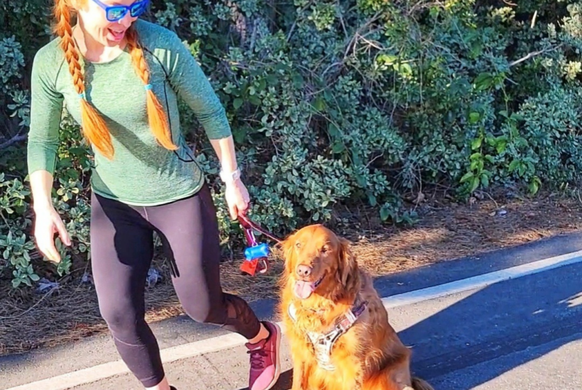 Running Blog Golden Retriever update