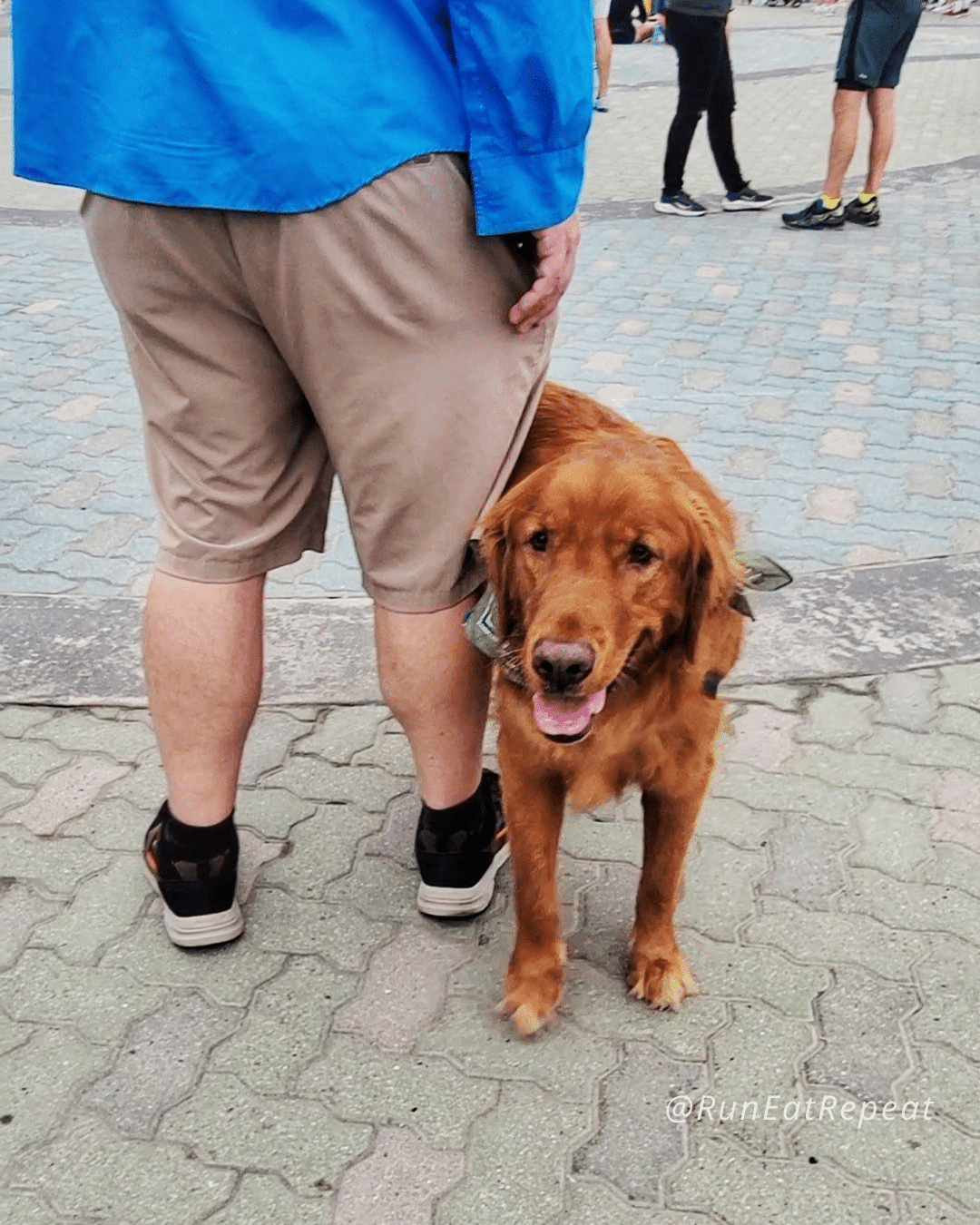 SURF CITY 10 MILER RACE RECAP - Run Eat Repeat